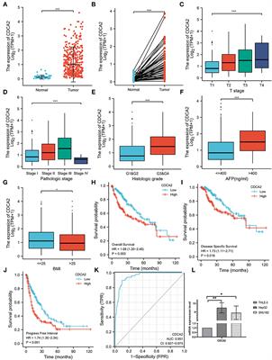 Increased CDCA2 Level Was Related to Poor Prognosis in Hepatocellular Carcinoma and Associated With Up-Regulation of Immune Checkpoints